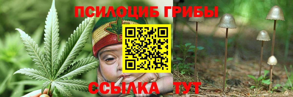 Псилоцибиновые грибы GOLDEN TEACHER Златоуст