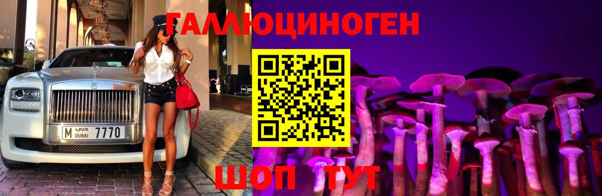 Златоуст  Псилоцибиновые грибы ЛСД  Вход с VPN  Псилоцибиновые грибы Cubensis 
